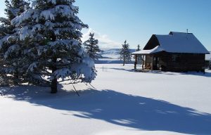 Hold Your Horses Cabin in Winter